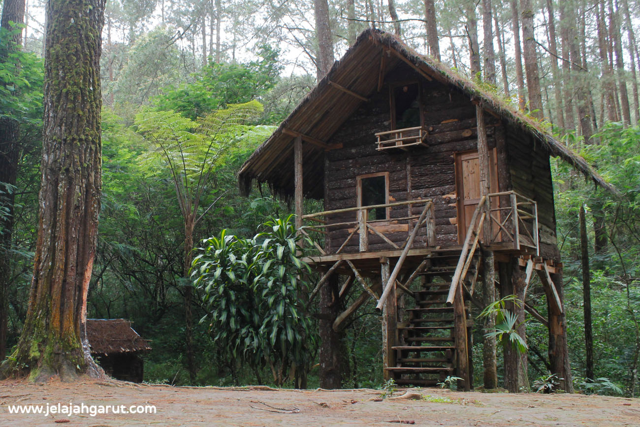 Taman Buru Gunung Masigit Kareumbi - Jelajah Garut