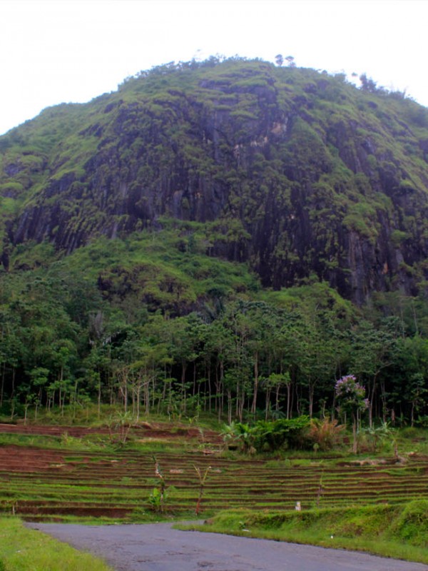 Gunung Wayang di jalur Rancabuaya via Garut-Bungbulang